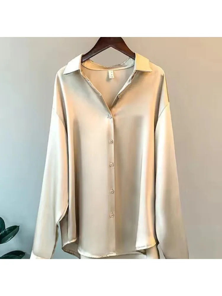 Camicia Casual da Donna Taglie - Silk Blouse recensione e prezzo