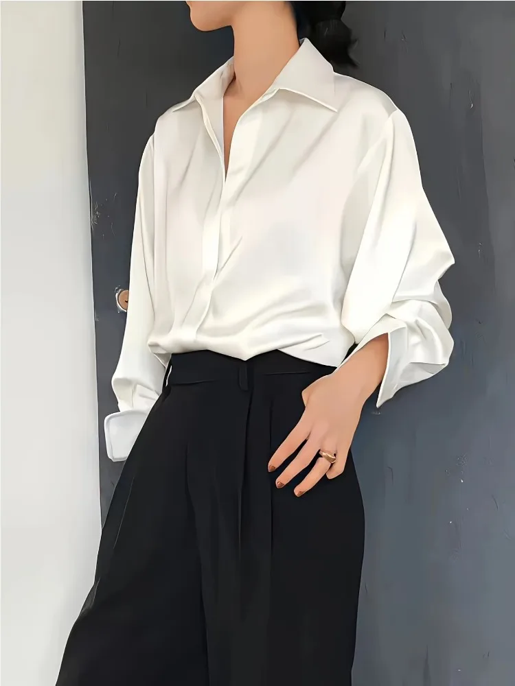 Camicia Casual da Donna Taglie - Silk Blouse recensione e prezzo